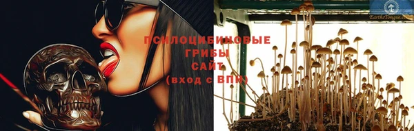 сатива Приозерск