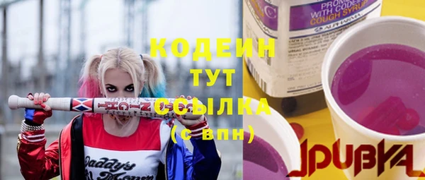 гашик Абаза